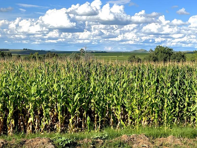 0 Bedroom Property for Sale in Bethlehem Rural Free State